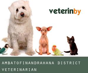 Ambatofinandrahana District veterinarian