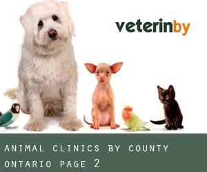 animal clinics by County (Ontario) - page 2