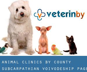 animal clinics by County (Subcarpathian Voivodeship) - page 1