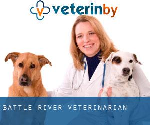 Battle River veterinarian