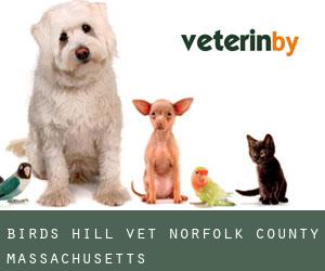 Birds Hill vet (Norfolk County, Massachusetts)