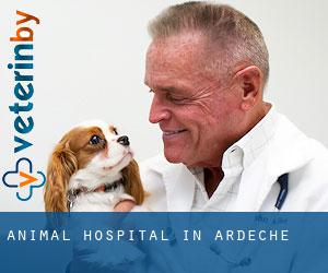 Animal Hospital in Ardèche