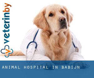 Animal Hospital in Babijn