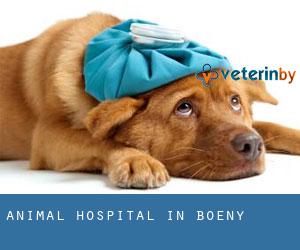 Animal Hospital in Boeny