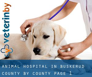 Animal Hospital in Buskerud county by County - page 1