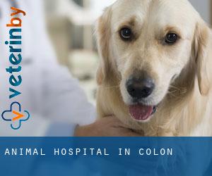 Animal Hospital in Colón