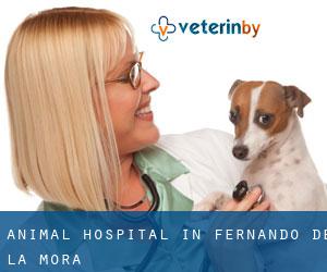 Animal Hospital in Fernando de la Mora