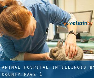 Animal Hospital in Illinois by County - page 1