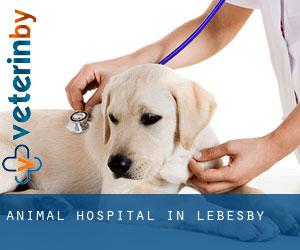 Animal Hospital in Lebesby