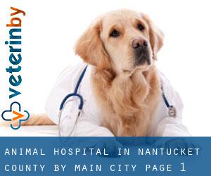 Animal Hospital in Nantucket County by main city - page 1
