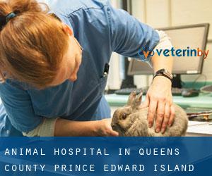 Animal Hospital in Queens County (Prince Edward Island)