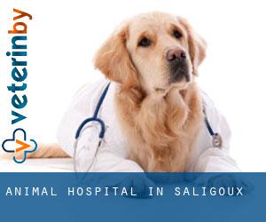 Animal Hospital in Saligoux
