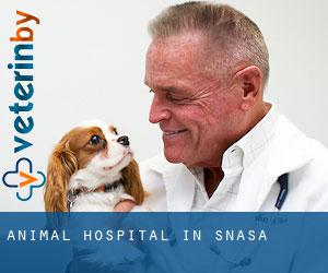 Animal Hospital in Snåsa