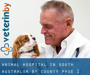 Animal Hospital in South Australia by County - page 1