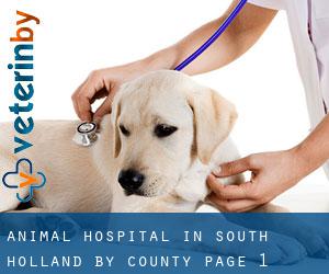Animal Hospital in South Holland by County - page 1