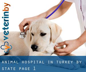 Animal Hospital in Turkey by State - page 1