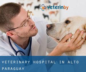 Veterinary Hospital in Alto Paraguay
