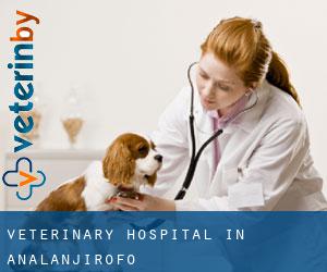 Veterinary Hospital in Analanjirofo