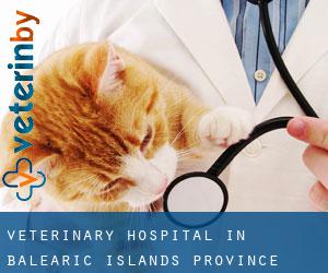 Veterinary Hospital in Balearic Islands (Province)