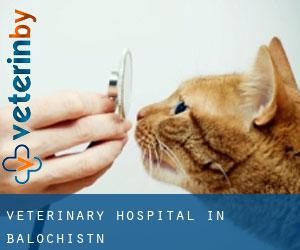 Veterinary Hospital in Balochistān