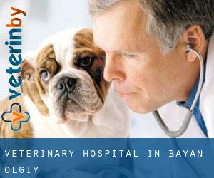 Veterinary Hospital in Bayan-Ölgiy