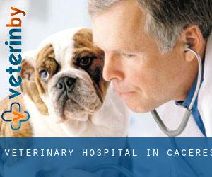 Veterinary Hospital in Caceres