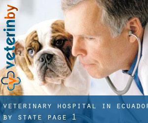 Veterinary Hospital in Ecuador by State - page 1