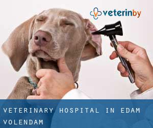 Veterinary Hospital in Edam-Volendam