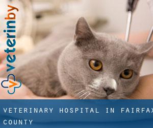 Veterinary Hospital in Fairfax County