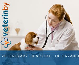 Veterinary Hospital in Fayaoué