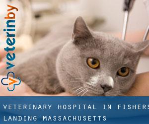 Veterinary Hospital in Fishers Landing (Massachusetts)
