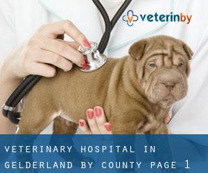 Veterinary Hospital in Gelderland by County - page 1
