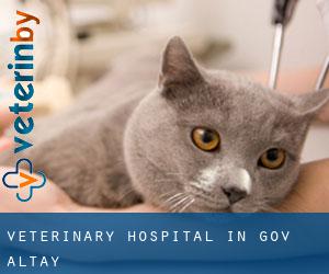 Veterinary Hospital in Govĭ-Altay