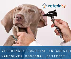 Veterinary Hospital in Greater Vancouver Regional District