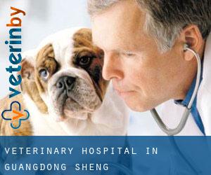 Veterinary Hospital in Guangdong Sheng
