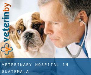 Veterinary Hospital in Guatemala