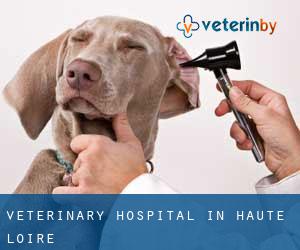 Veterinary Hospital in Haute-Loire
