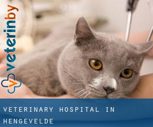 Veterinary Hospital in Hengevelde
