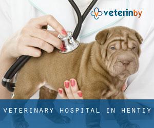 Veterinary Hospital in Hentiy
