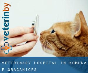 Veterinary Hospital in Komuna e Graçanicës