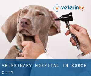 Veterinary Hospital in Korçë (City)