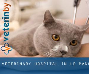 Veterinary Hospital in Le Mans