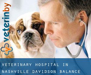 Veterinary Hospital in Nashville-Davidson (balance)