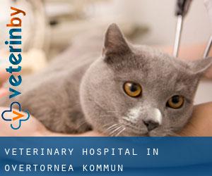 Veterinary Hospital in Övertorneå Kommun