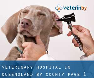 Veterinary Hospital in Queensland by County - page 1