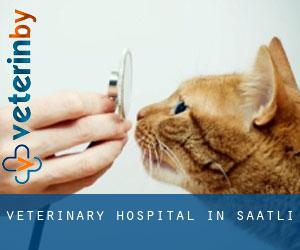 Veterinary Hospital in Saatlı