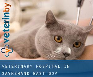Veterinary Hospital in Saynshand (East Govĭ)