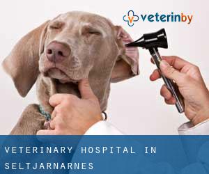 Veterinary Hospital in Seltjarnarnes