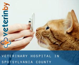 Veterinary Hospital in Spotsylvania County