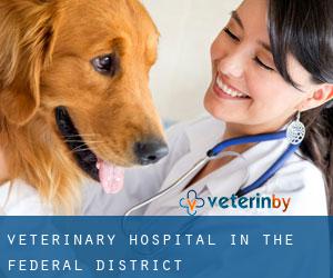 Veterinary Hospital in The Federal District